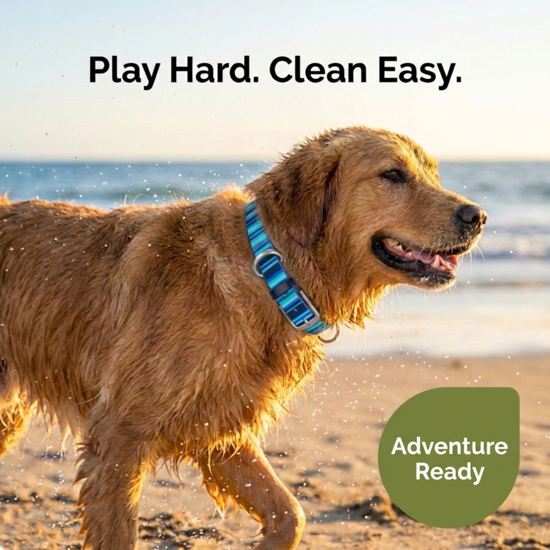 Waterproof Dog Collars – Washable Dog Collar, Stink-Proof & Durable Collar & Leashes - Lazy Paper Club
