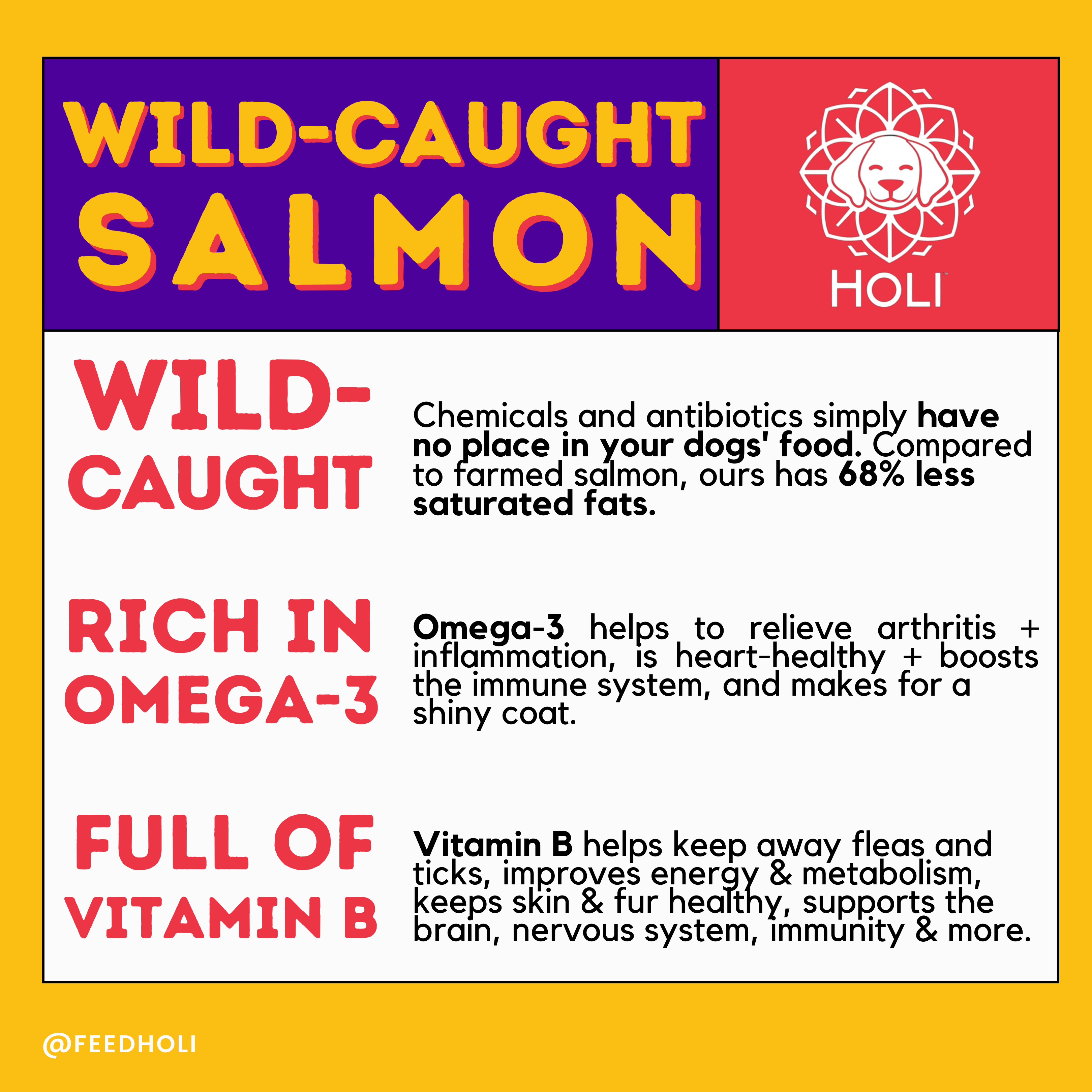 Wild Caught Salmon Dog Food Topper - Freeze Dried - Single Ingredient - #Lazy Paper Club#