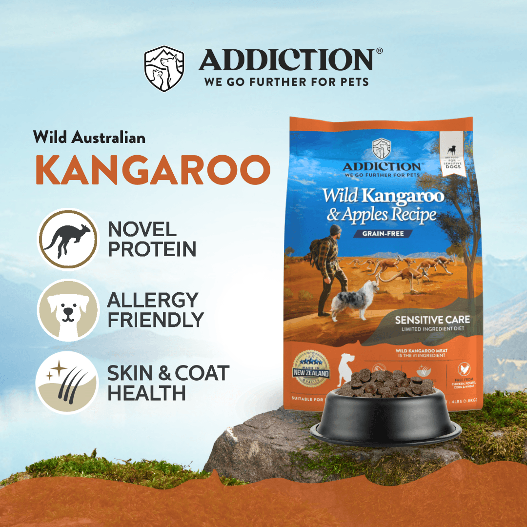 Wild Kangaroo & Apples Recipe Dry Dog Food Kangaroo Dry Dog Food - Lazy Paper Club