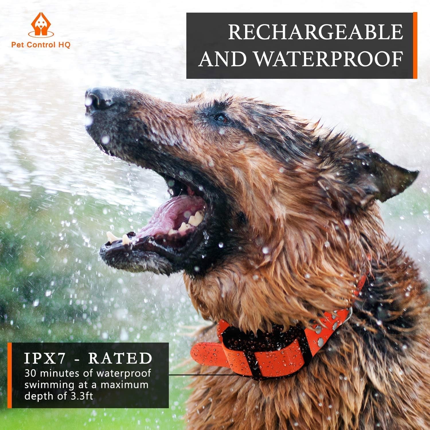 Wireless Dog Fence System Electric Collar Remote Underground 2 Dogs - Lazy Paper Club