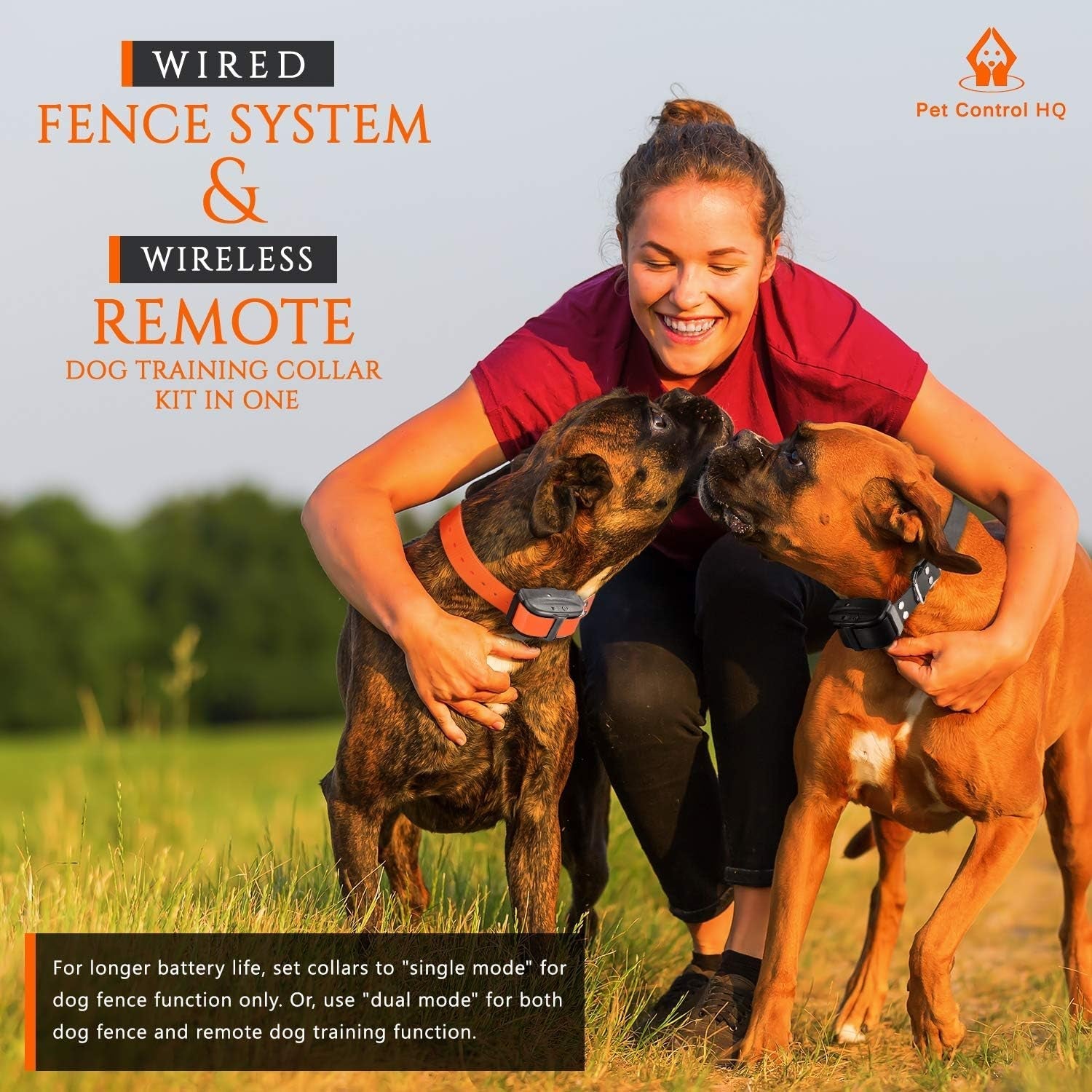 Wireless Dog Fence System Electric Collar Remote Underground 2 Dogs - Lazy Paper Club