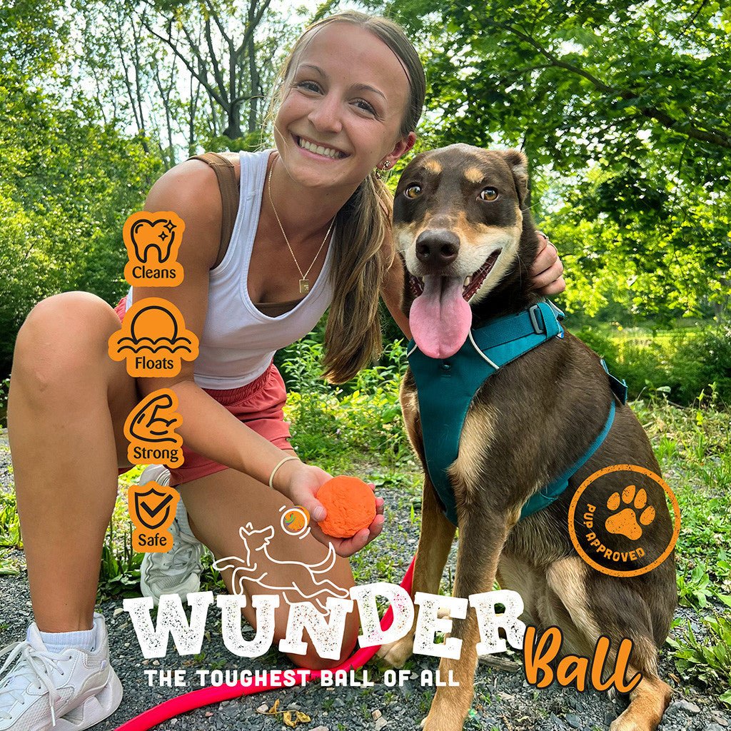 WUNDERball - Best Fetch Toy - Lazy Paper Club