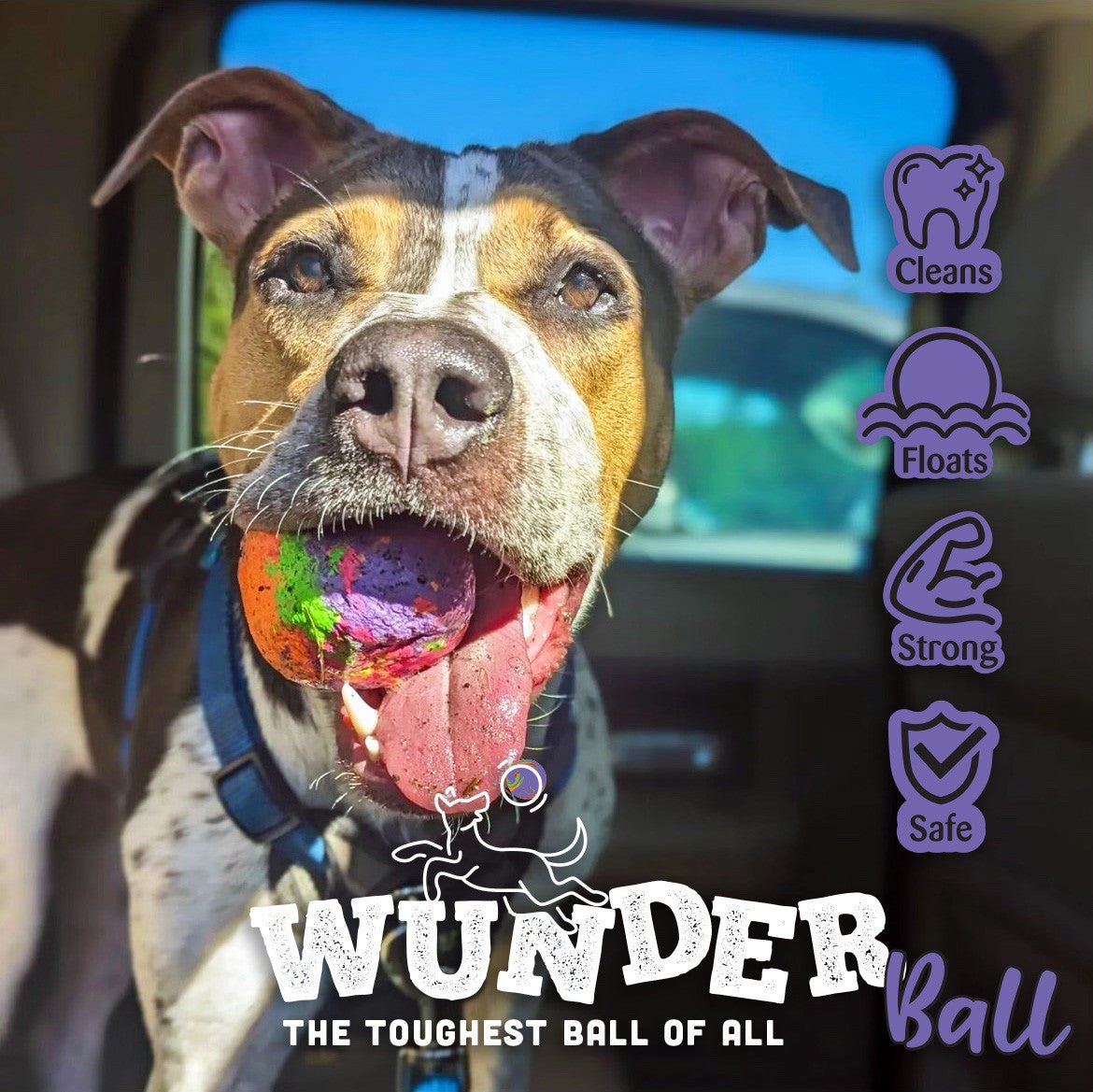 WUNDERball - Best Fetch Toy - Lazy Paper Club