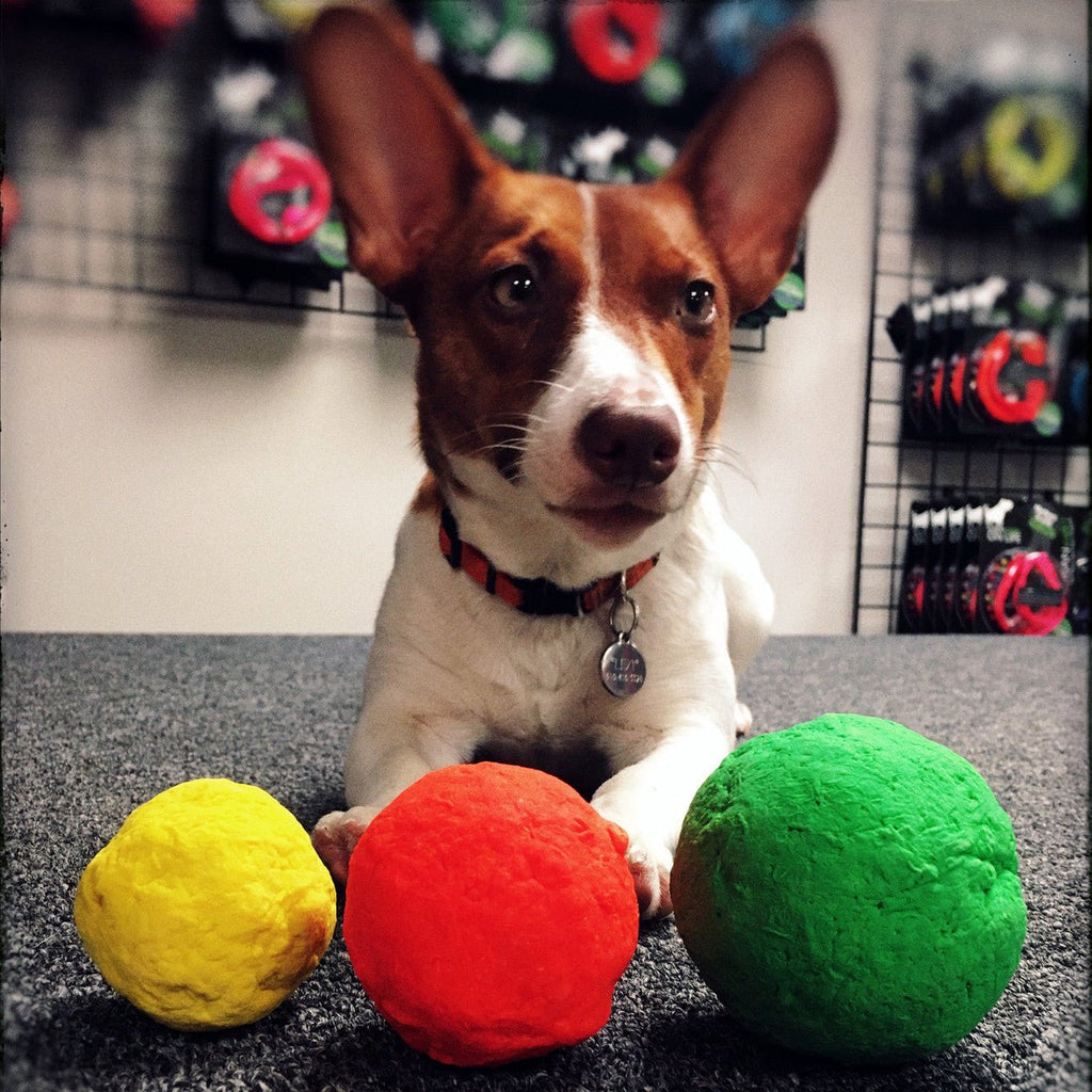 WUNDERball - Best Fetch Toy - Lazy Paper Club