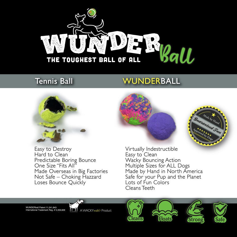 WUNDERball - Best Fetch Toy - Lazy Paper Club