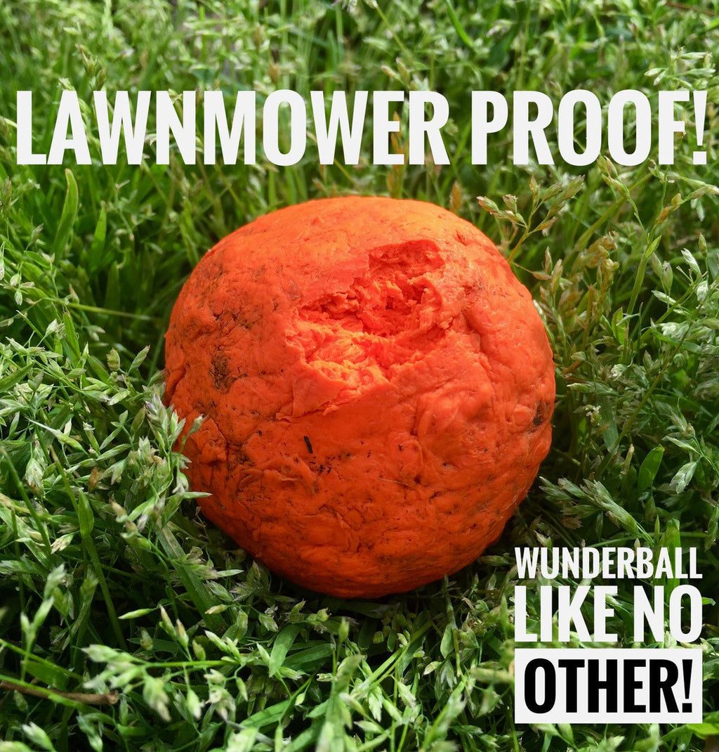 WUNDERball - Best Fetch Toy - Lazy Paper Club