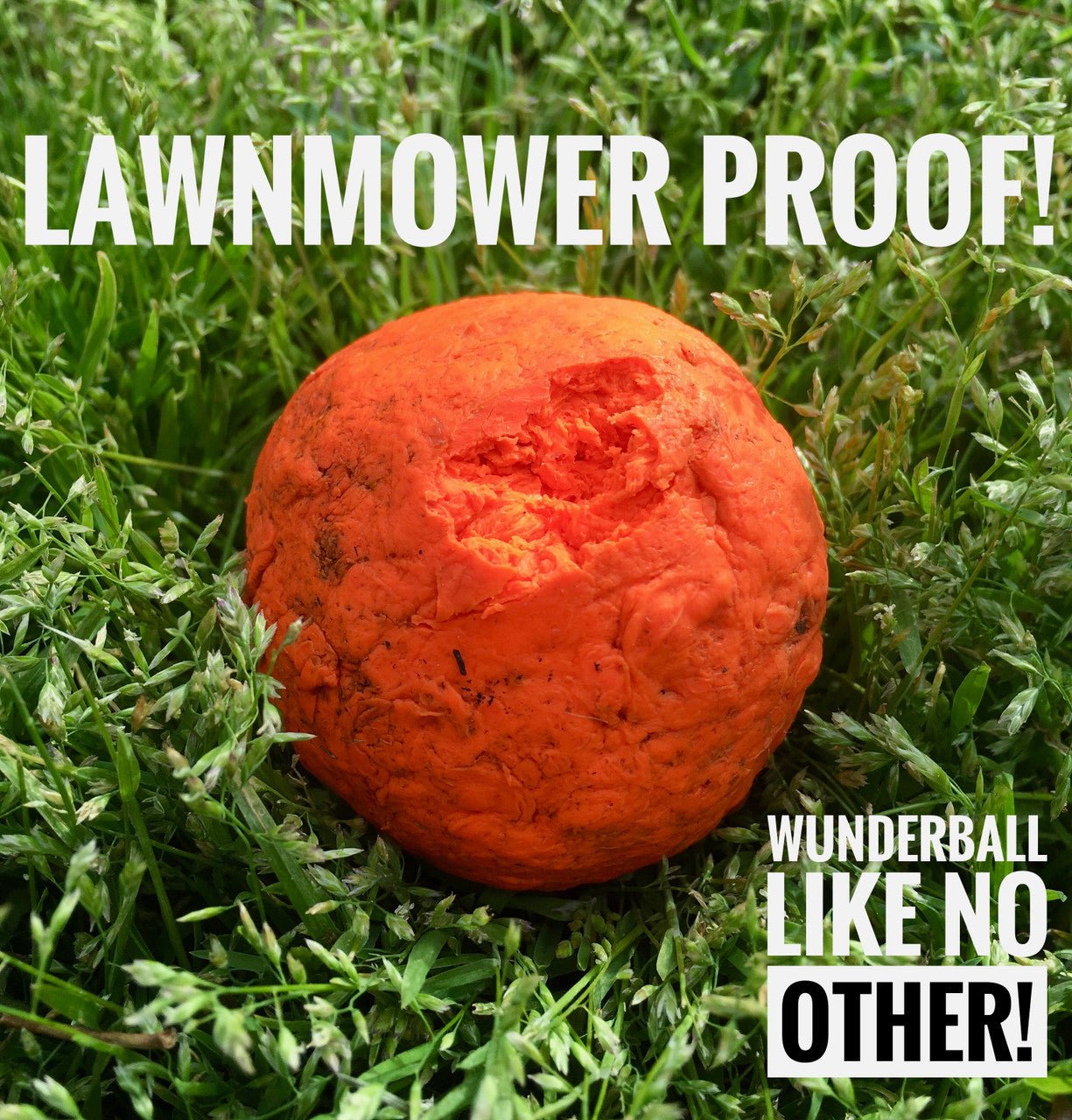 WUNDERball - Best Fetch Toy - Lazy Paper Club