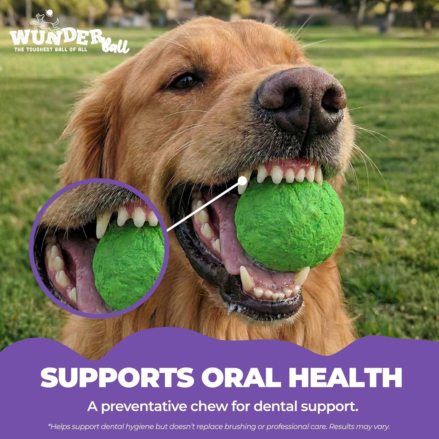 WUNDERball - Best Fetch Toy - Lazy Paper Club