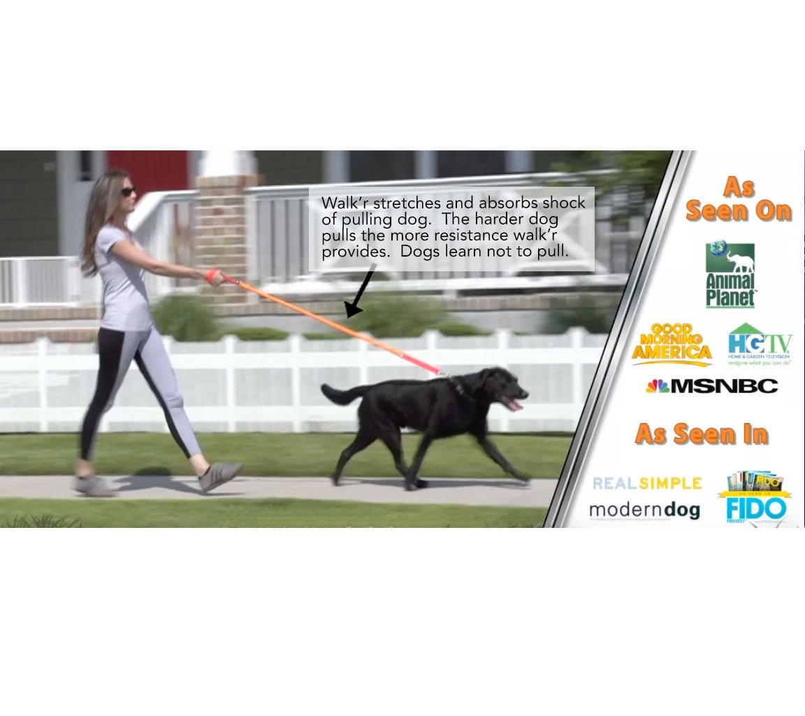WUNDERleash – The Original No-Pull Dog Leash - Lazy Paper Club